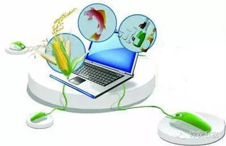 你農我農 互聯網銷售模式重塑農產品產業生態