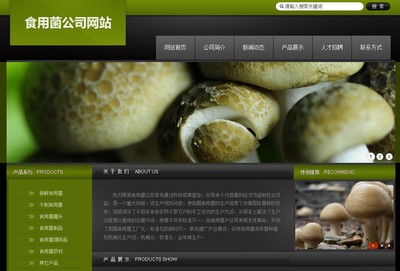 專業(yè)網(wǎng)頁設(shè)計與網(wǎng)站制作 打造您的數(shù)字門戶與品牌名片